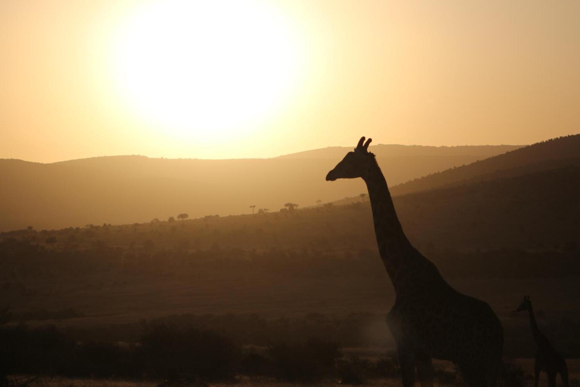 Samana Mara Maasai Mara Exterior foto